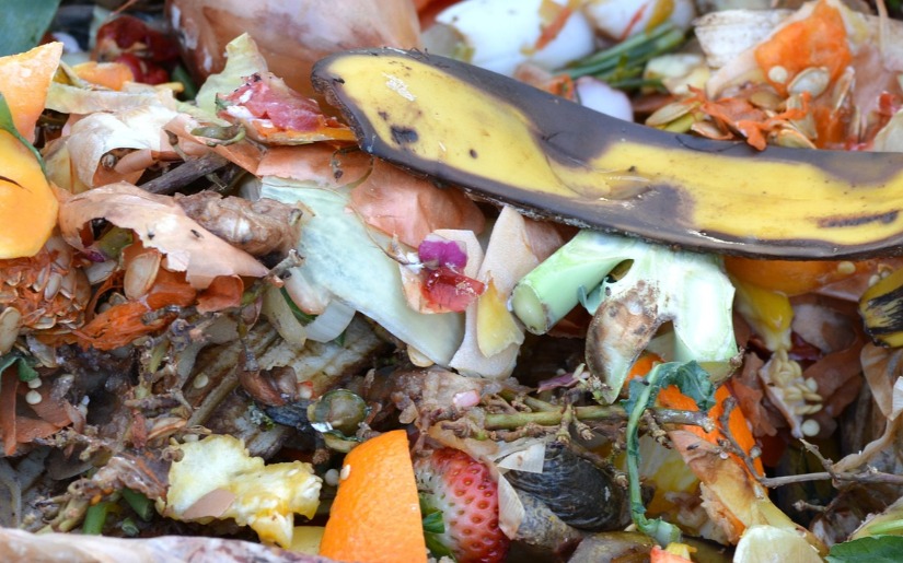 Consumer Food Waste: Environmental Impacts and Changing Course