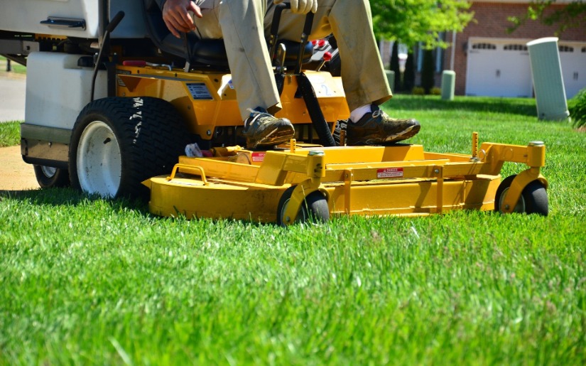 Environmental Assessment of Intensive Lawn Care