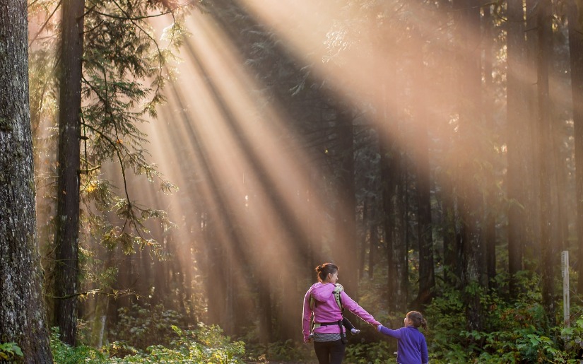 A Survey of Industrial-Scale Multigenerational Family Forest Owners Across the United States