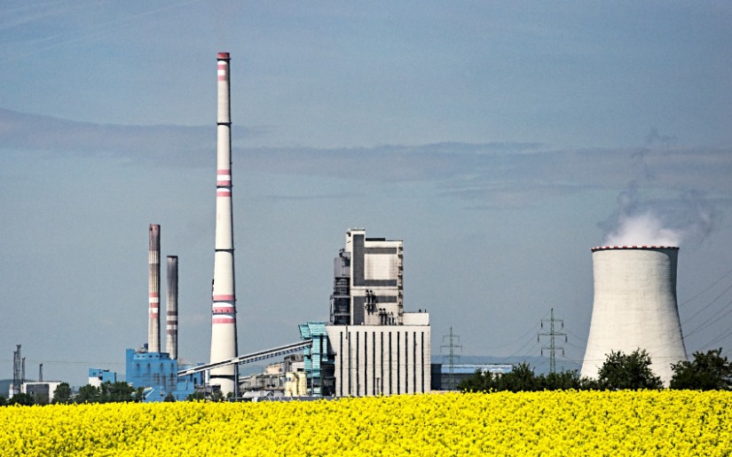 Third Generation Biofuels: Implications for Wood-Derived Fuels