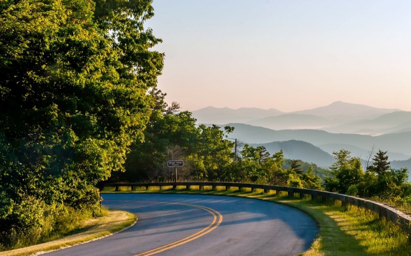 Urban Wood Utilization in Virginia, North Carolina, and Georgia