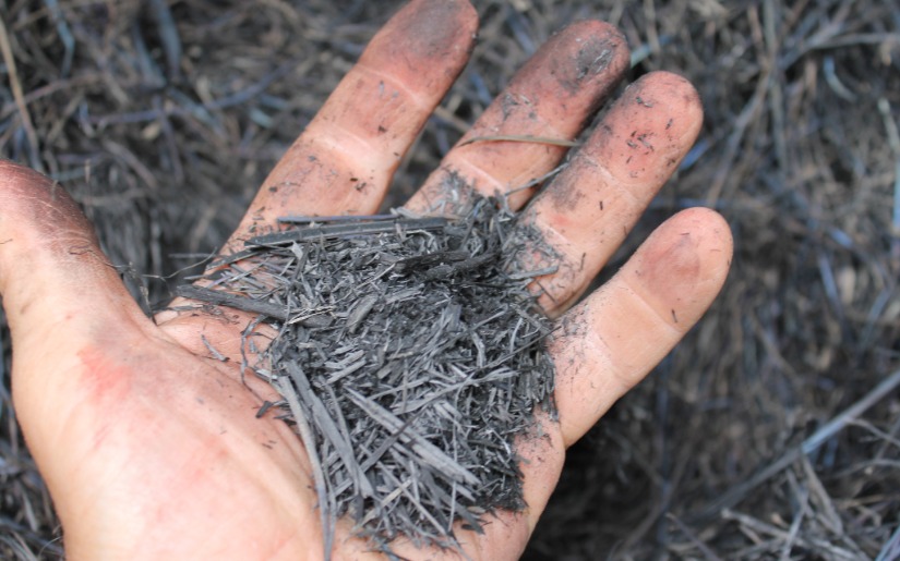 Biochar as an Innovative Wood Product