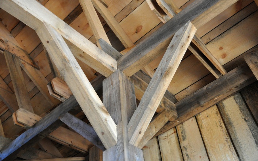 Building with Wood: Proactive Climate Protection