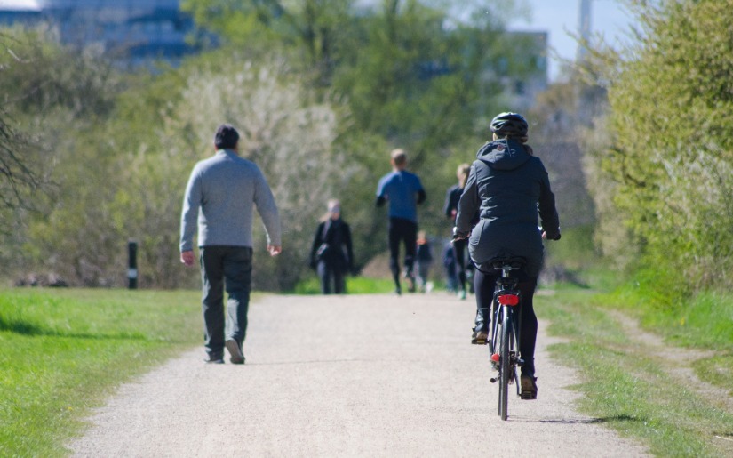 Mobile Urban Tree Inventory System Available to Help Maintain Healthy Urban Forests