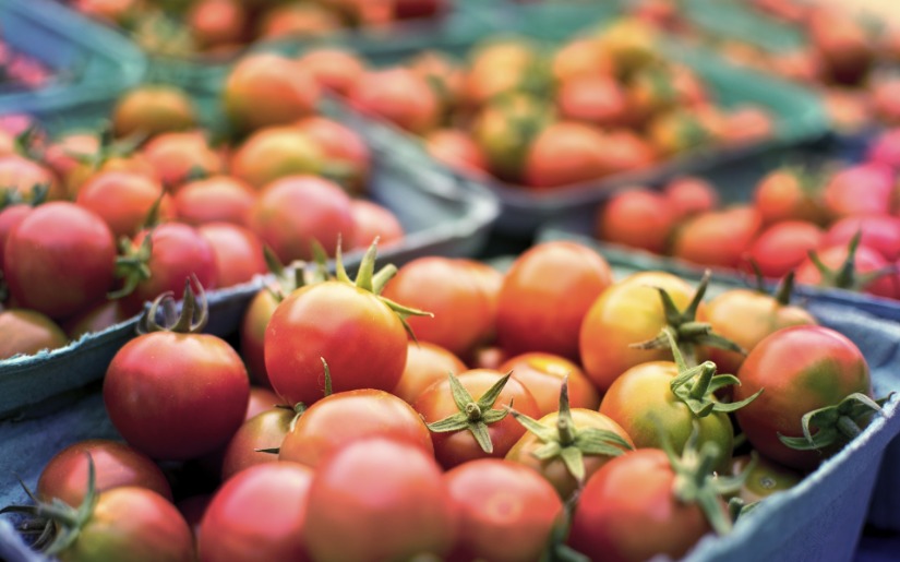 Urban Agriculture: Programs and Policies in Minnesota