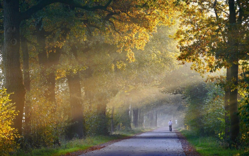 Join Dovetail Partners at International Urban Forestry Congress