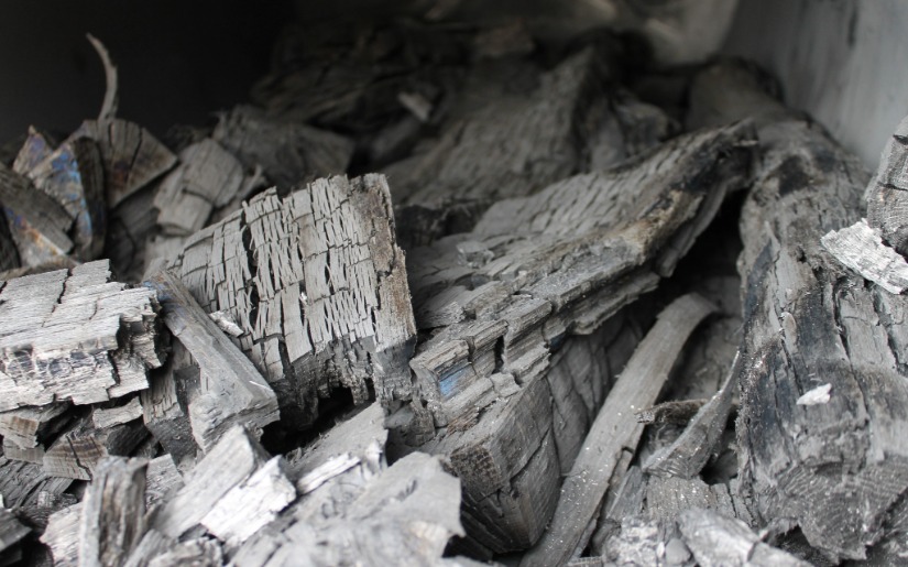 Join Dovetail Partners at Biochar 2018