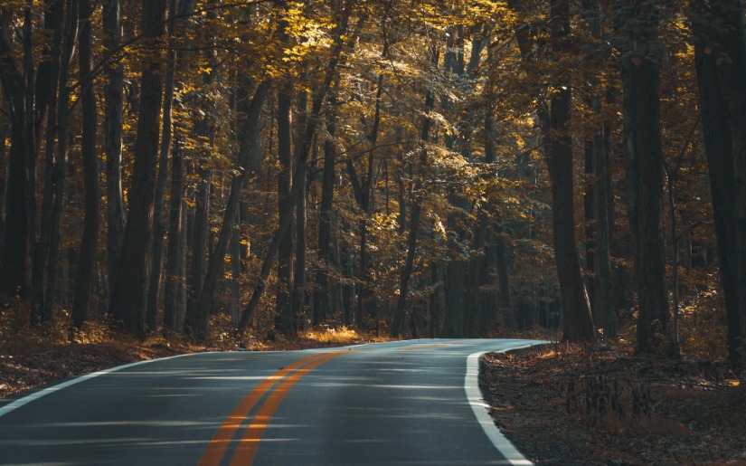 The Toolkit Approach to Sustainability