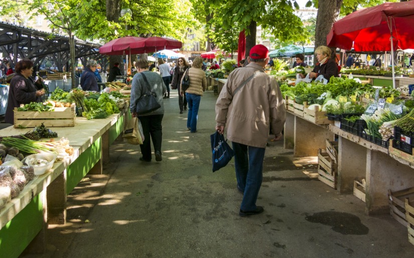 An Introduction to Urban Agriculture: Past, Present, and Future