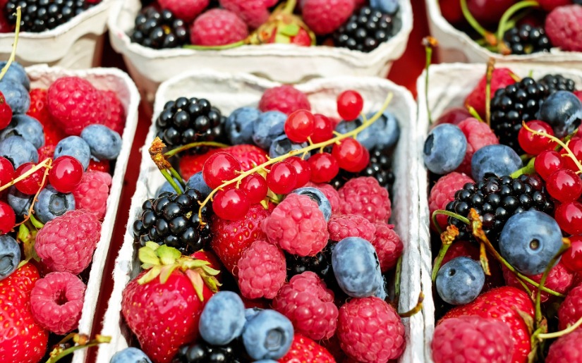 Utilizing Urban Forests for Fruit Production