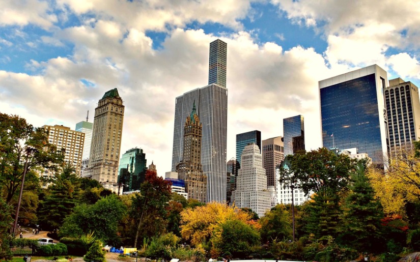 Urban Forestry: An Evolving Discipline