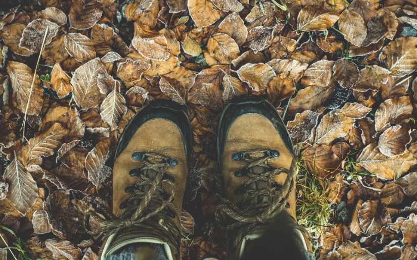 Comparing the Ecological Footprints of the U.S. and the E.U. 