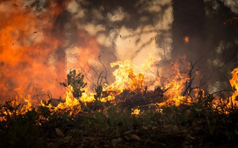 Dovetail Partners hosts Business Resiliency for Disasters Workshop