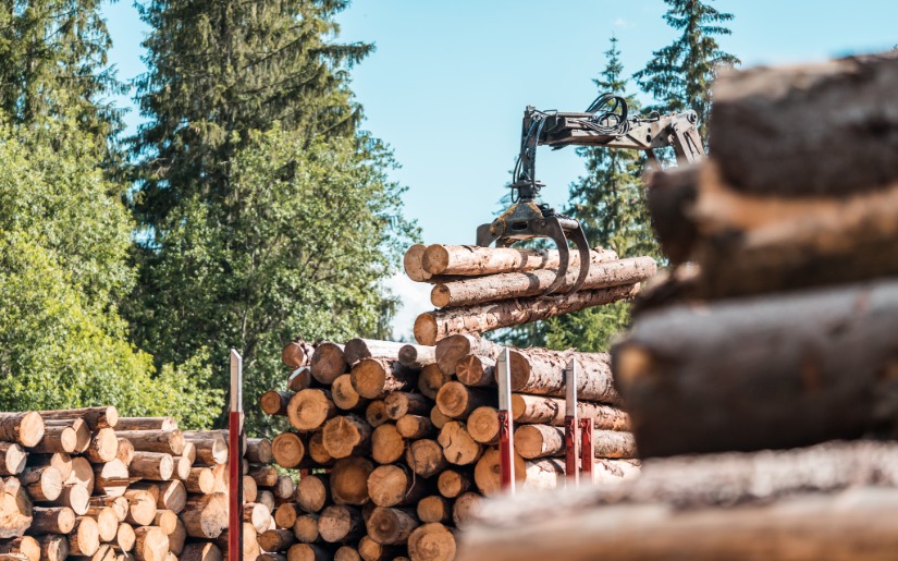 A Land Manager's Guide to FSC & SFI