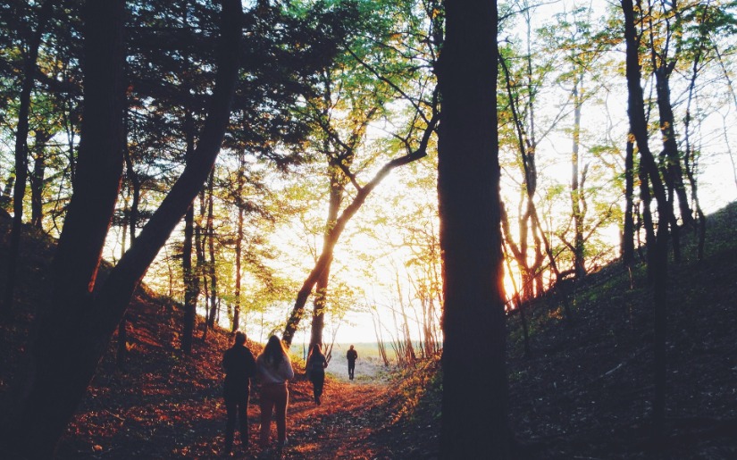 Forest Certification Auditor Qualifications