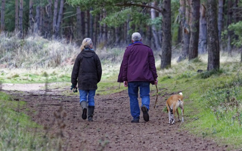Innovations in Family Forest Certification 