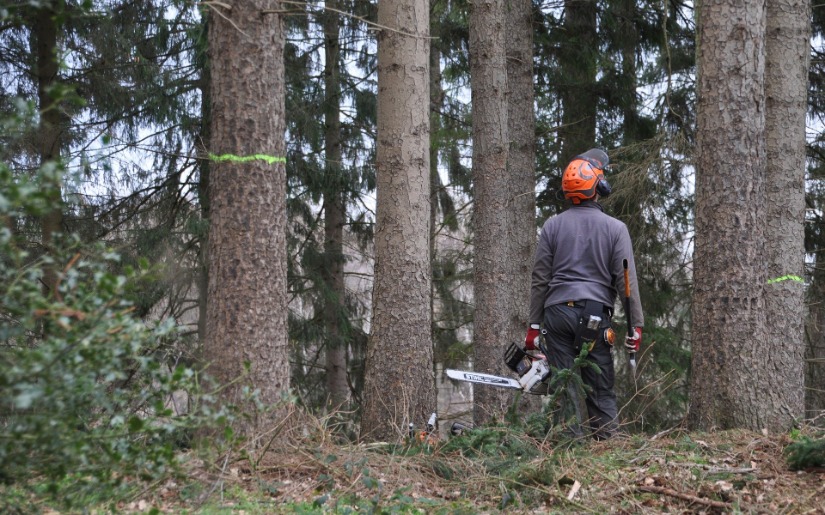 An Introduction to Social Marketing: Potential Applications for Forestry
