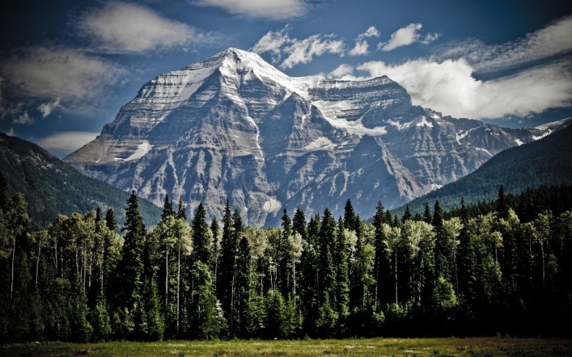 Forest Certification and Ecological Classification Systems
