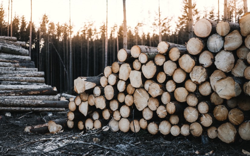 Forest Certification and Mutual Recognition