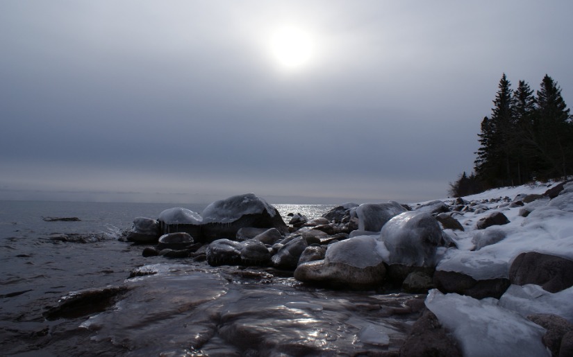 The Great Lakes Region: A Forest Certification Hub