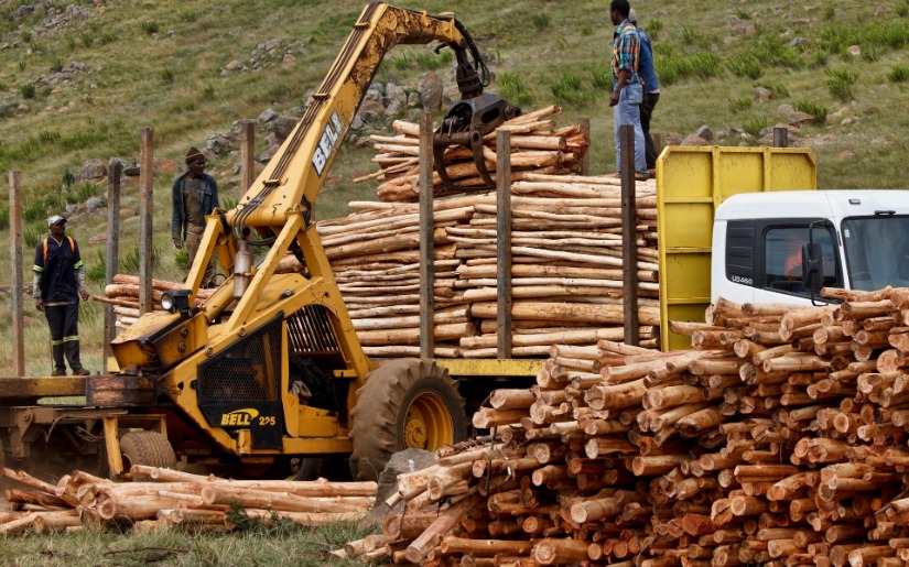 Is the Wood in your Product Line of Legal Origin?