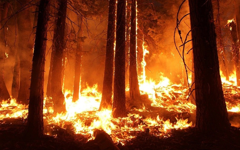 Business Resiliency for Disasters Webinar now posted ONLINE