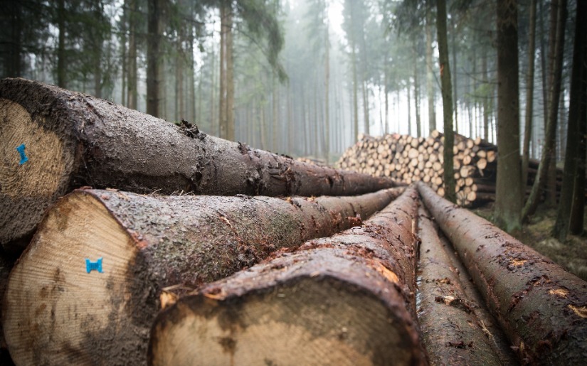 Ecosystem Markets - New Mechanisms to Support Forestry