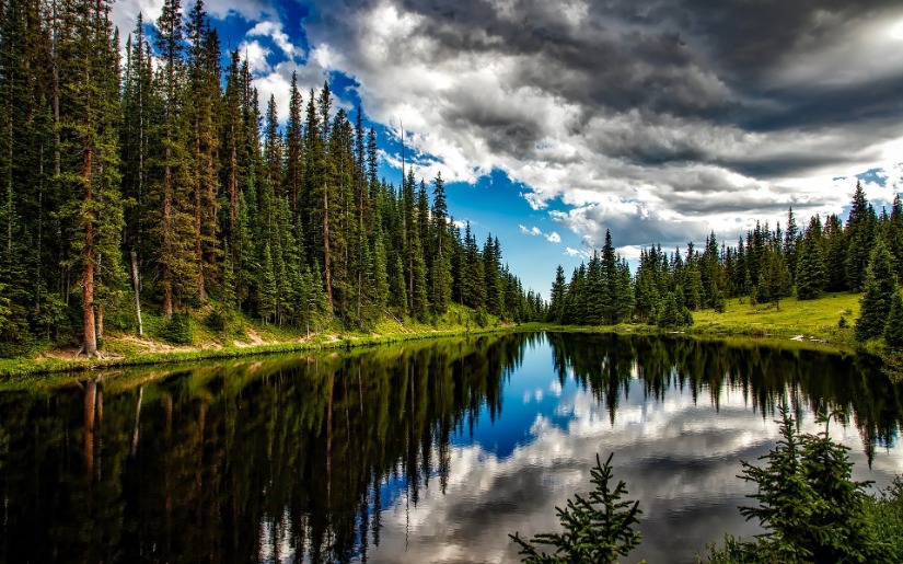 An Environmental Quiz that can Open the Door to Inquiry and Learning About Forests and Forestry