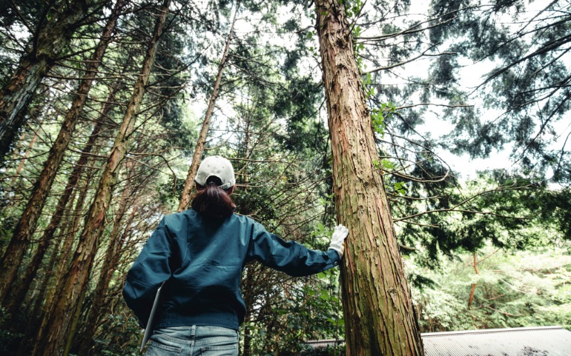 Dovetail Partners Contributes to International Study on Green Jobs