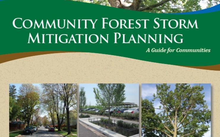 Dovetail supports development of storm mitigation planning resources