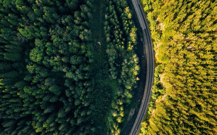 Forest Certification Update 2021: The Pace of Change