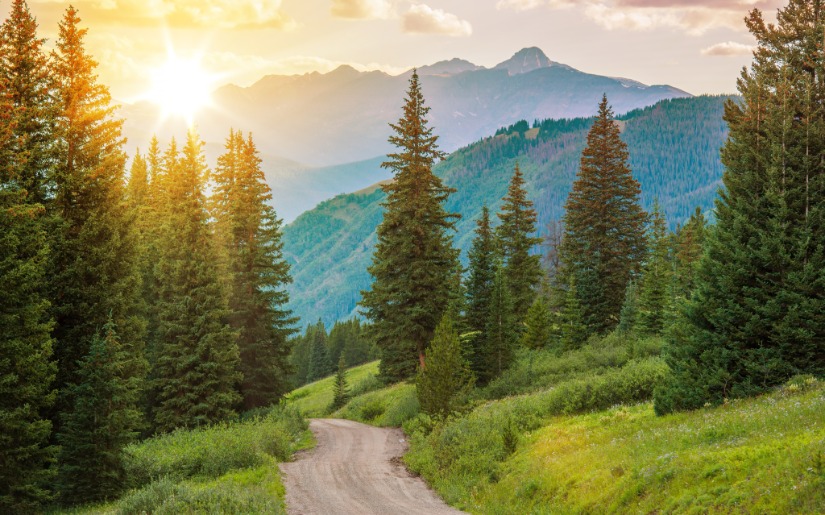 Carbon Storage, Credit Markets, and Forests