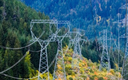 Right-of-Way Stewardship Council - Call for Nominations and Request for Marketing Services