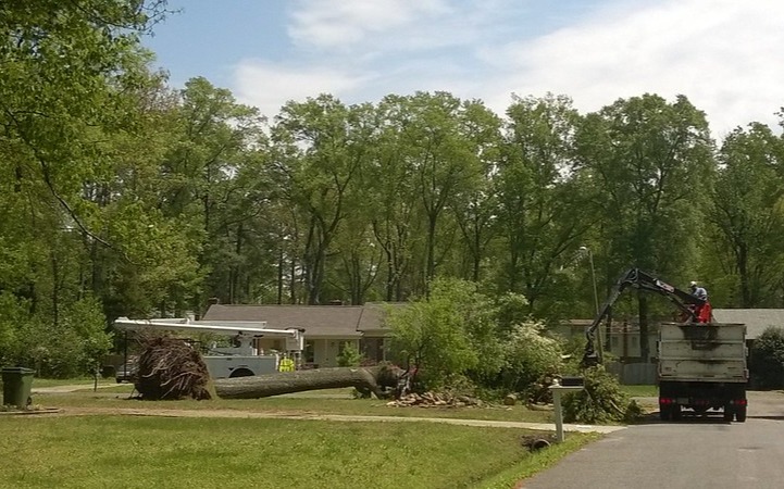 The Accessible Community Tree Inventory: Expanding State Capacity for Planning and Risk Management