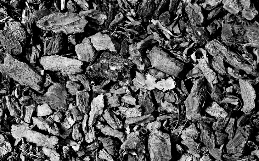 Ecological and Economically Sustainable Applications of Biochar in Managed Ecosystems