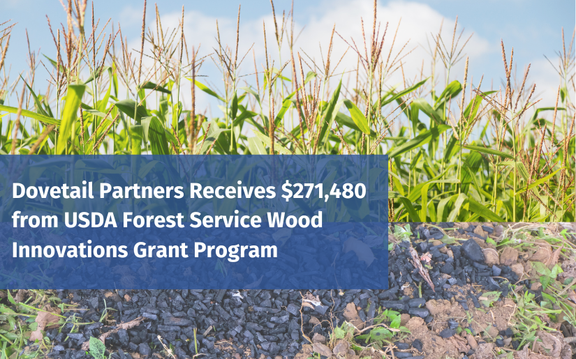 Dovetail Partners Receives $271,480 from USDA Forest Service Wood Innovations Grant Program 