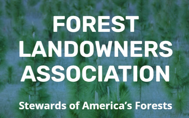 U.S. Forest Sustainability in the 21st Century - Webinar