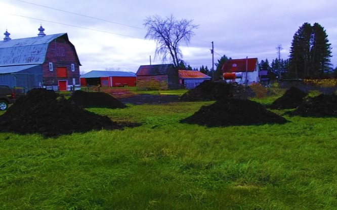 Biochar's Impact on Soil Health - StoryMap